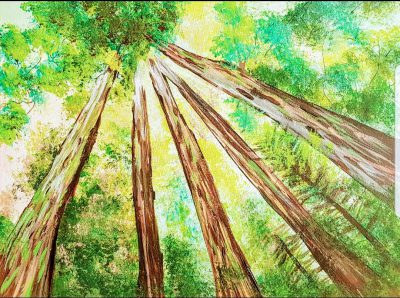 Wald,der Blick nach oben