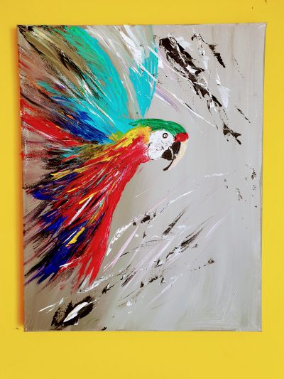 Papagei…40×50