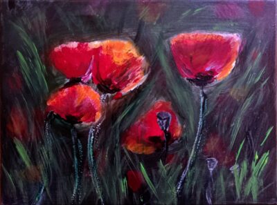Mohnblumen..40×30… verkauft