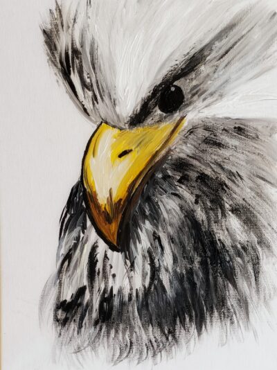 Adler…30×40