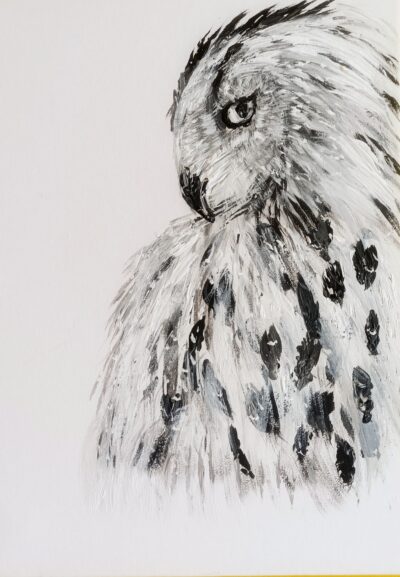 Eule…30×40 verkauft