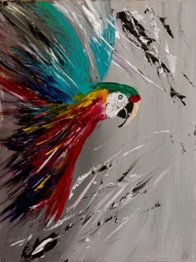 Papagei 50×40
