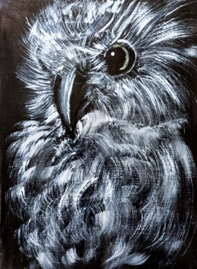 Eule 40×30 verkauft